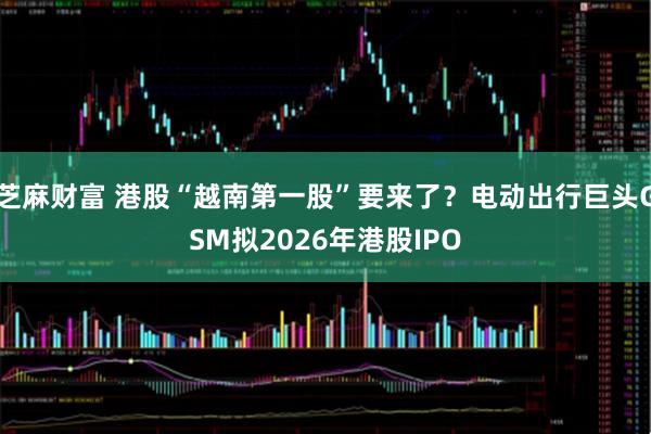芝麻财富 港股“越南第一股”要来了？电动出行巨头GSM拟2026年港股IPO