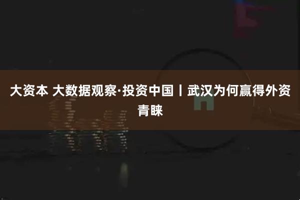 大资本 大数据观察·投资中国丨武汉为何赢得外资青睐