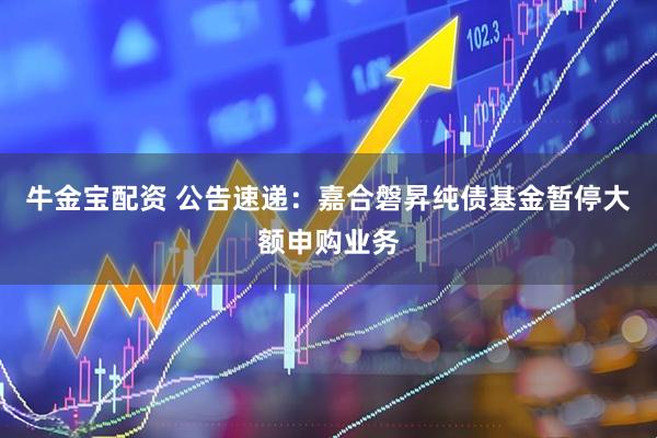 牛金宝配资 公告速递：嘉合磐昇纯债基金暂停大额申购业务