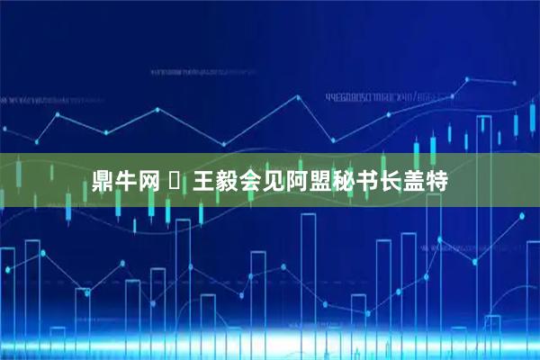 鼎牛网 ​王毅会见阿盟秘书长盖特