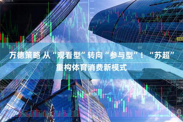 万德策略 从“观看型”转向“参与型”！“苏超”重构体育消费新模式