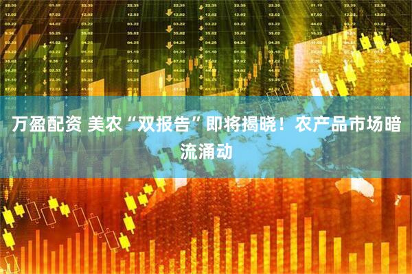 万盈配资 美农“双报告”即将揭晓！农产品市场暗流涌动